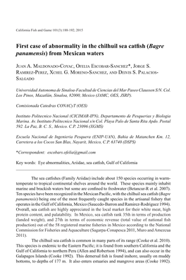 First Case of Abnormality in the Chilhuil Sea Catfish (Bagre Panamensis