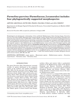 Parmelina Quercina (Parmeliaceae, Lecanorales) Includes Four Phylogenetically Supported Morphospecies