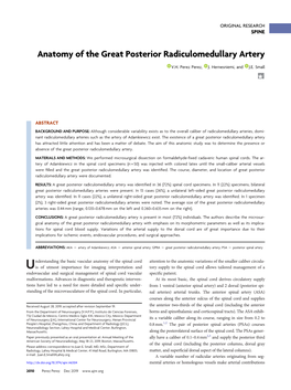 Anatomy of the Great Posterior Radiculomedullary Artery