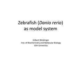 Zebrafish (Danio Rerio) As Model System