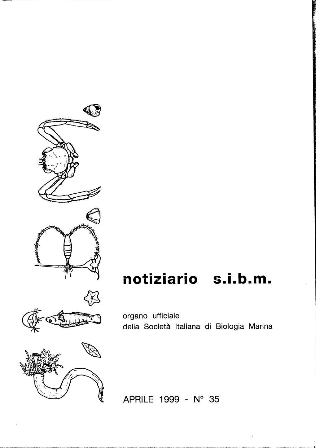 Aprile 1999 N°35