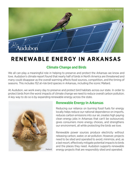 RENEWABLE ENERGY in ARKANSAS Climate Change and Birds We All Can Play a Meaningful Role in Helping to Preserve and Protect the Arkansas We Know and Love