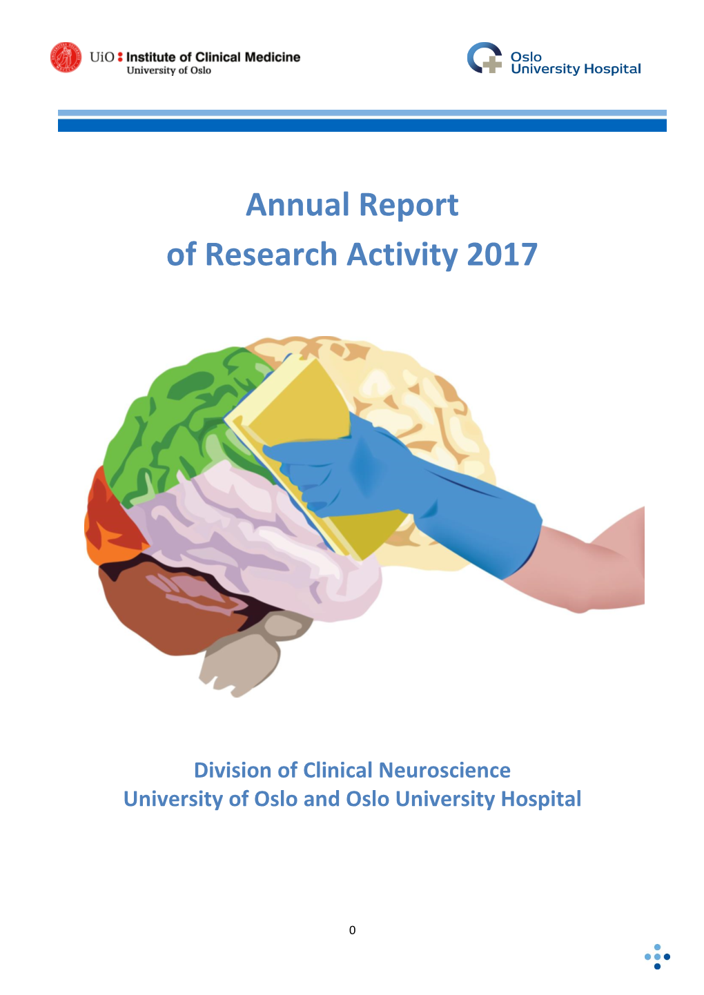 Annual Report of Research Activity 2017