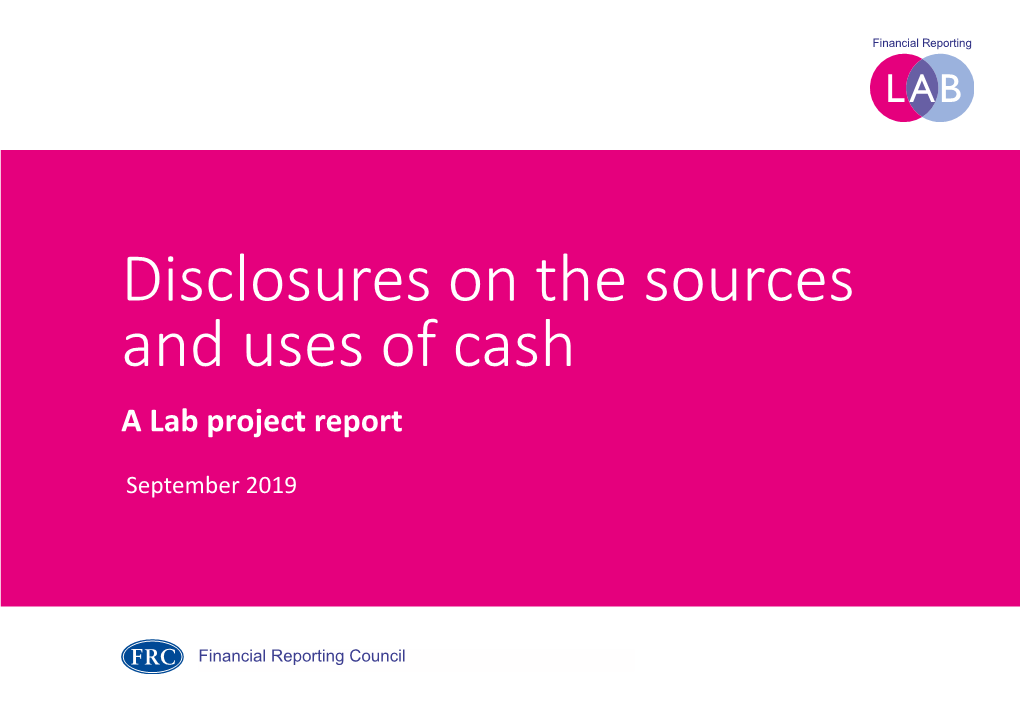 Disclosures on the Sources and Uses of Cash a Lab Project Report