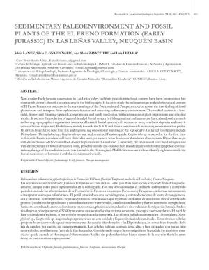 (Early Jurassic) in Las Leñas Valley, Neuquén Basin
