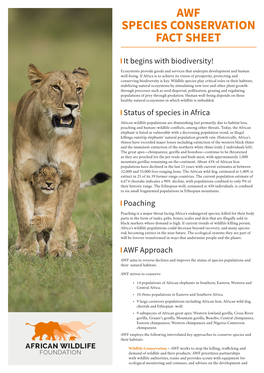 Awf Species Conservation Fact Sheet