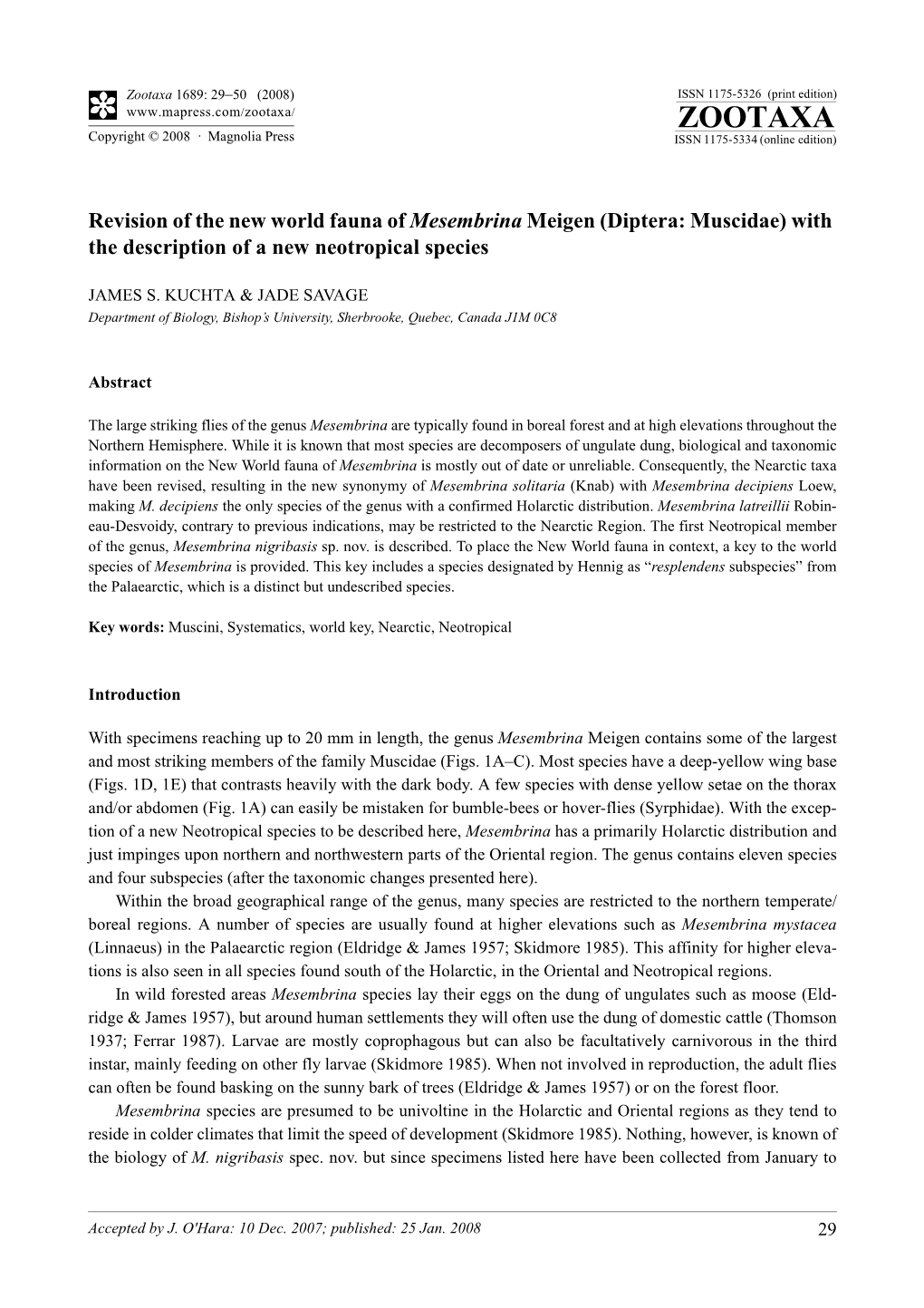 Zootaxa, Revision of the New World Fauna of Mesembrina Meigen