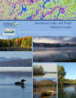 Northeast Lake and Pond Habitat Guide