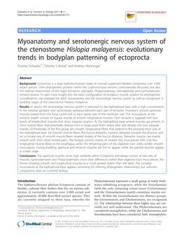 Myoanatomy and Serotonergic Nervous