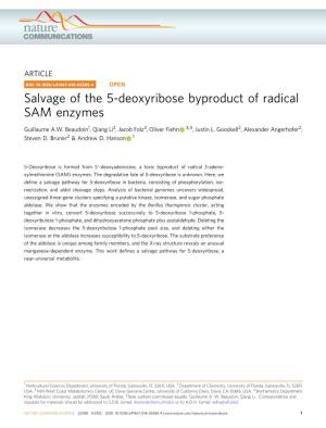 Salvage of the 5-Deoxyribose Byproduct of Radical SAM Enzymes
