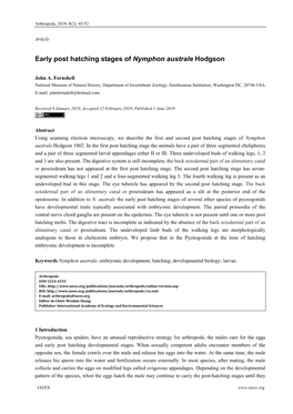 Early Post Hatching Stages of Nymphon Australe Hodgson