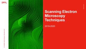 Scanning Electron Microscopy Techniques
