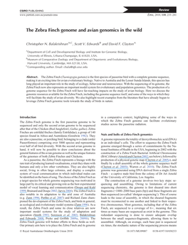 The Zebra Finch Genome and Avian Genomics in the Wild