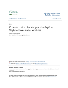 Characterization of Aminopeptidase Pepz in Staphylococcus Aureus Virulence Tiffany Marie Robison University of South Florida, Tmroger2@Mail.Usf.Edu