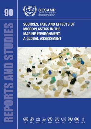 SOURCES, FATE and EFFECTS of MICROPLASTICS in the MARINE ENVIRONMENT: a GLOBAL ASSESSMENT Science for Sustainable Oceans