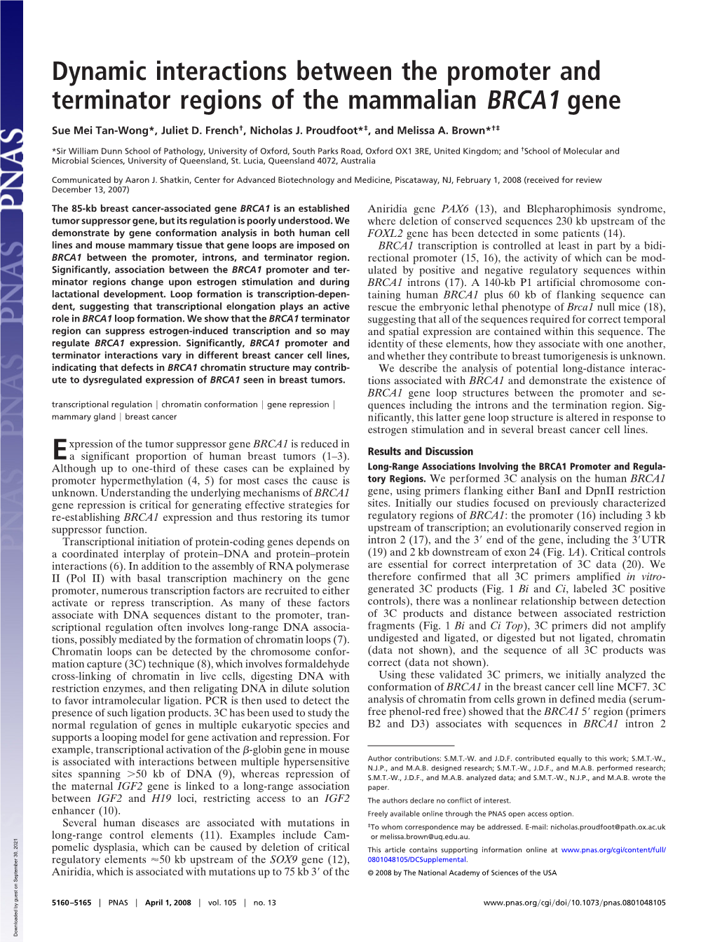 Dynamic Interactions Between the Promoter and Terminator Regions of the Mammalian BRCA1 Gene