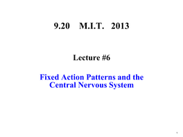 Fixed Action Patterns and the Central Nervous System