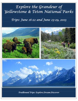 Explore the Grandeur of Yellowstone & Teton National Parks