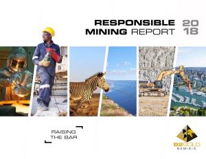 Responsible Mining Report