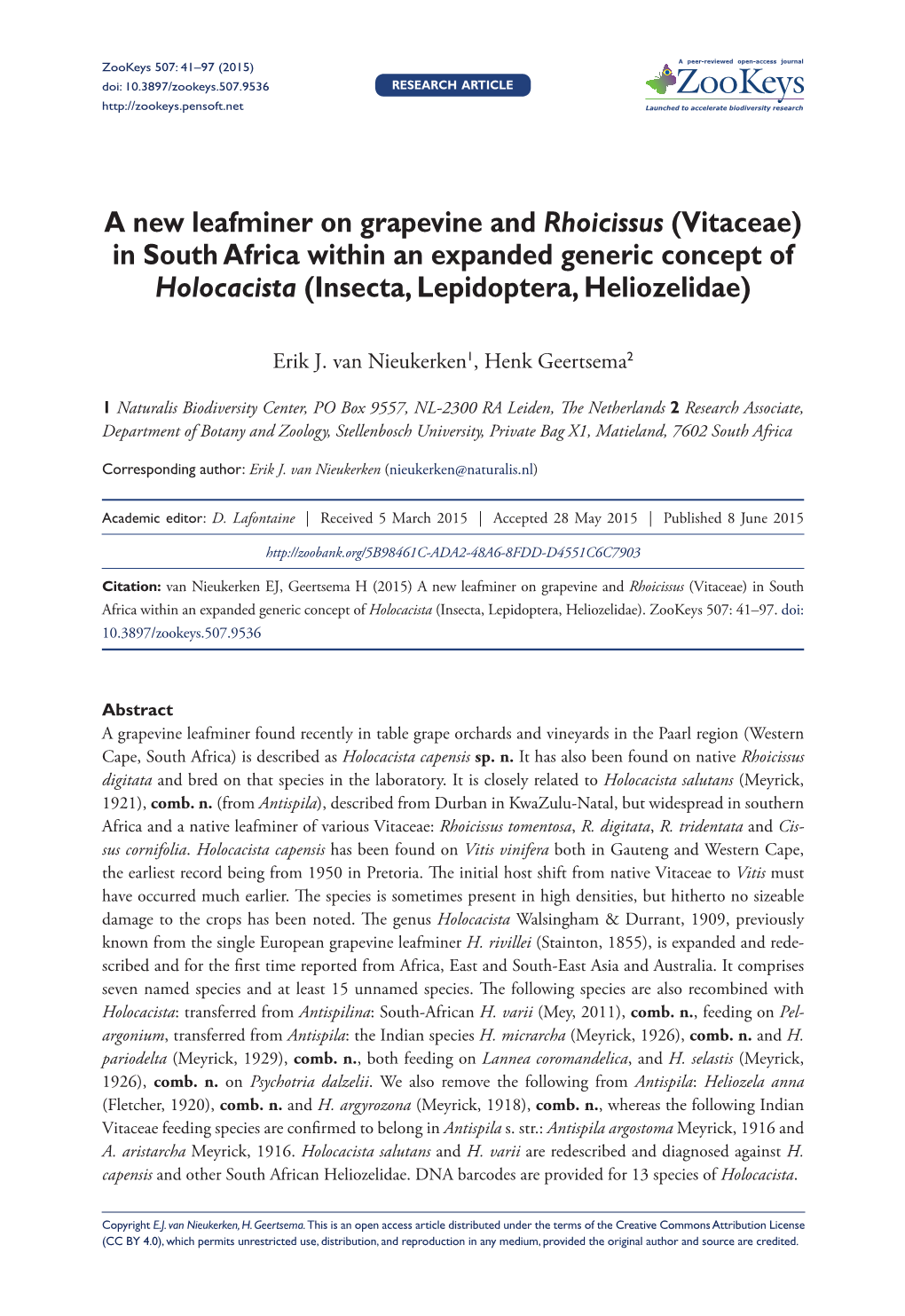 ﻿A New Leafminer on Grapevine and Rhoicissus (Vitaceae) in South