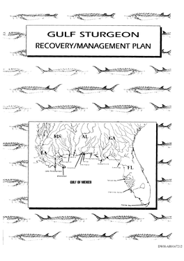Gulf Sturgeon Recovery/Management Plan