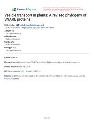 Vesicle Transport in Plants: a Revised Phylogeny of SNARE Proteins