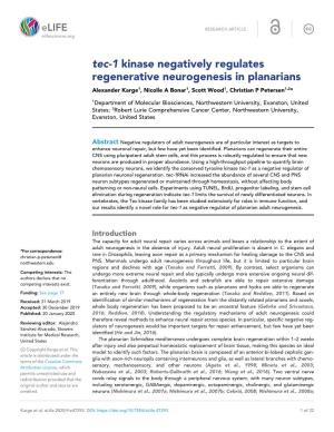 Tec-1 Kinase Negatively Regulates Regenerative Neurogenesis in Planarians Alexander Karge1, Nicolle a Bonar1, Scott Wood1, Christian P Petersen1,2*