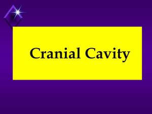 Cranial Cavity, Meninges Dural Venous Sinuses (Tubbs) 3.Pdf