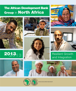 The Afdb Group in North Africa 2013