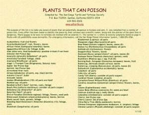 PLANTS THAT CAN POISON Compiled By: the San Diego Turtle and Tortoise Society P.O