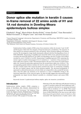 Donor Splice Site Mutation in Keratin 5 Causes In-Frame Removal of 22 Amino Acids of H1 and 1A Rod Domains in Dowling-Meara Epidermolysis Bullosa Simplex