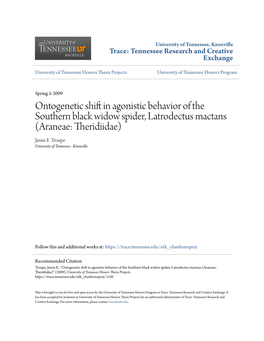 Ontogenetic Shift in Agonistic Behavior of the Southern Black Widow Spider, Latrodectus Mactans (Araneae: Theridiidae)