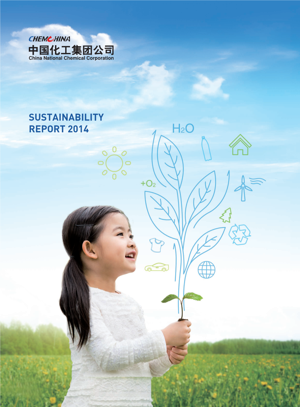 Sustainability Report 2014