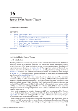 Spatial Point Process Theory