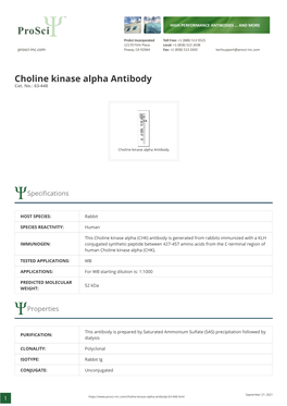 Choline Kinase Alpha Antibody Cat