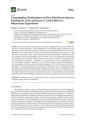 Consumption Performance of Five Detritivore Species Feeding on Alnus Glutinosa L