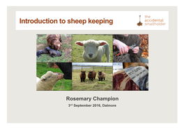 Introduction to Sheep Keeping