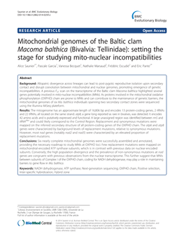 Mitochondrial Genomes of the Baltic Clam Macoma Balthica (Bivalvia