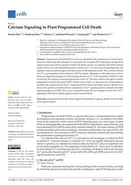 Calcium Signaling in Plant Programmed Cell Death