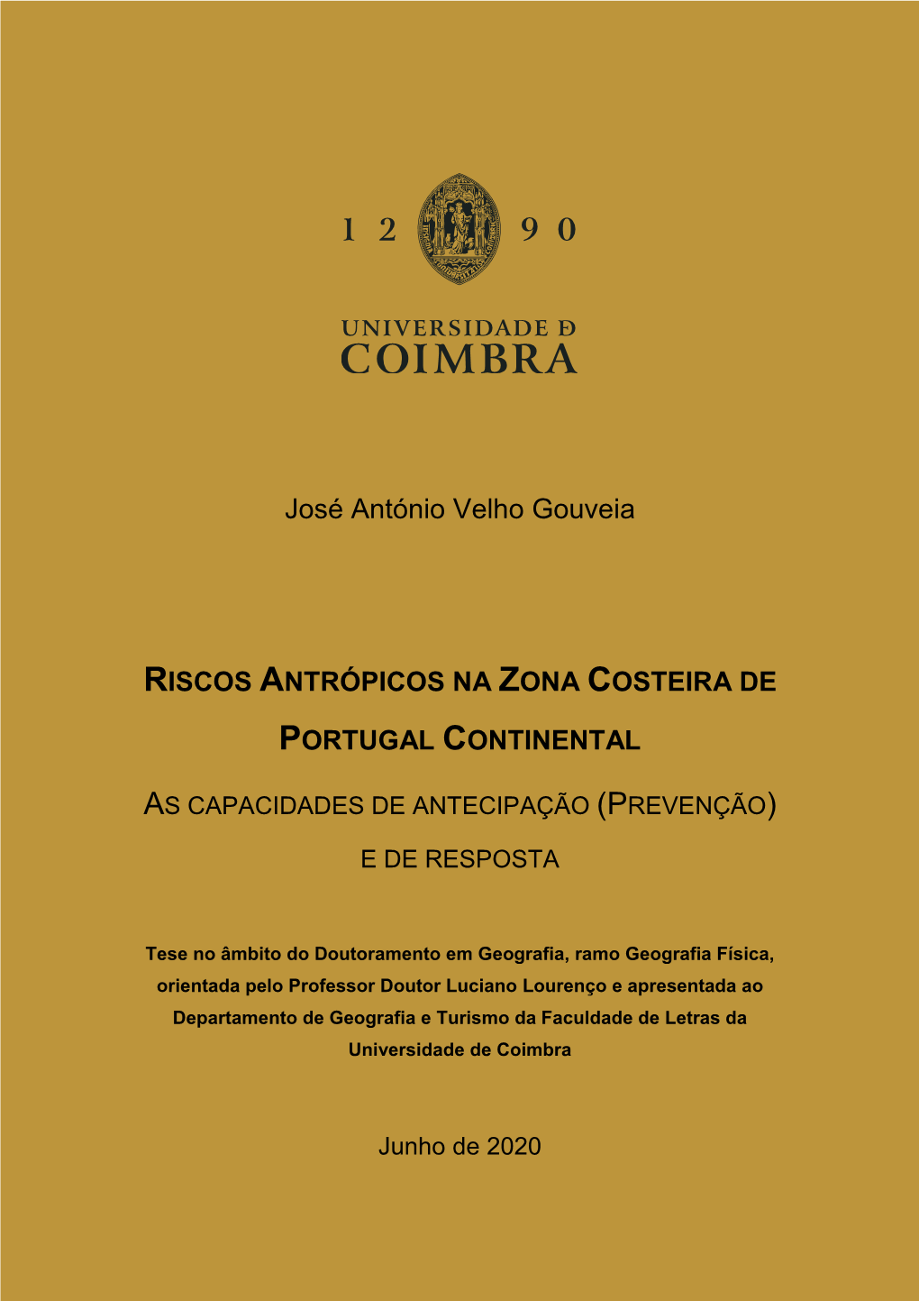 José António Velho Gouveia