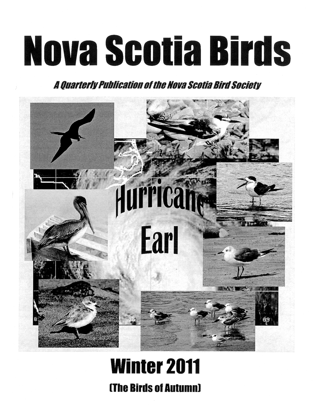 Winter2011 [The Birds of AUIUIDD] 2 NOVA SCOTIA BIRDS Volume 53, Issue I