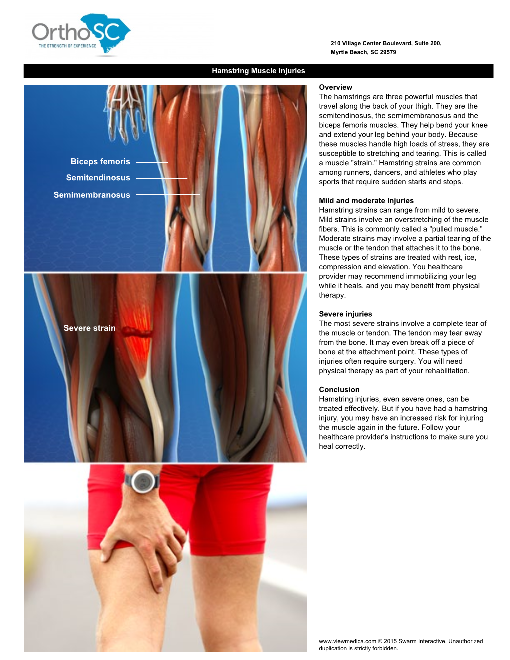 Semitendinosus Biceps Femoris Semimembranosus Severe Strain