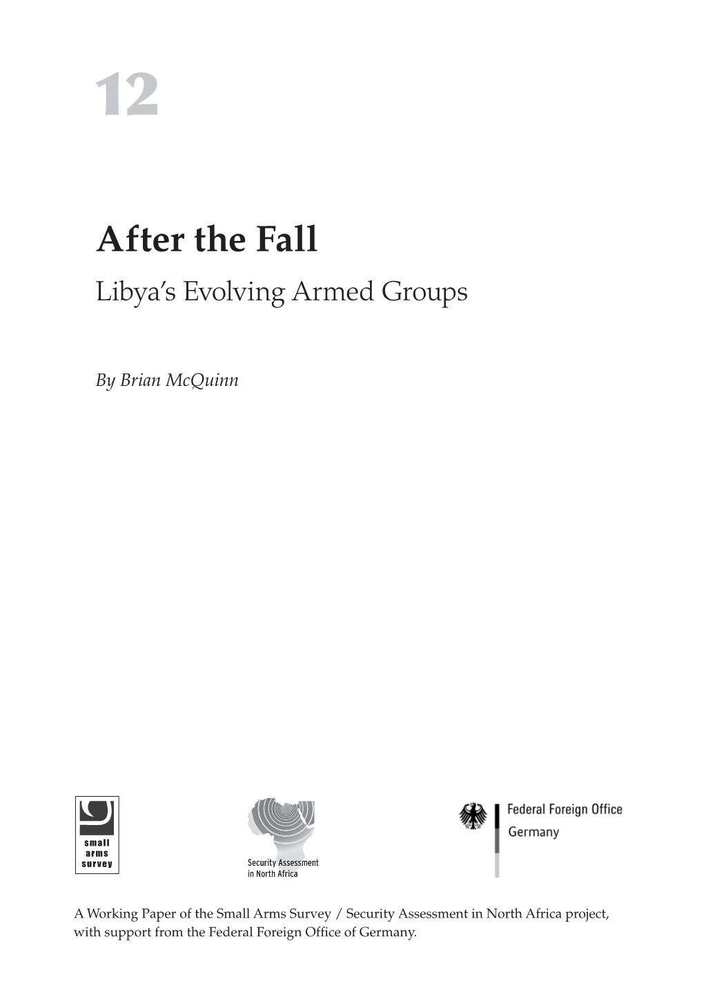 After the Fall: Libya's