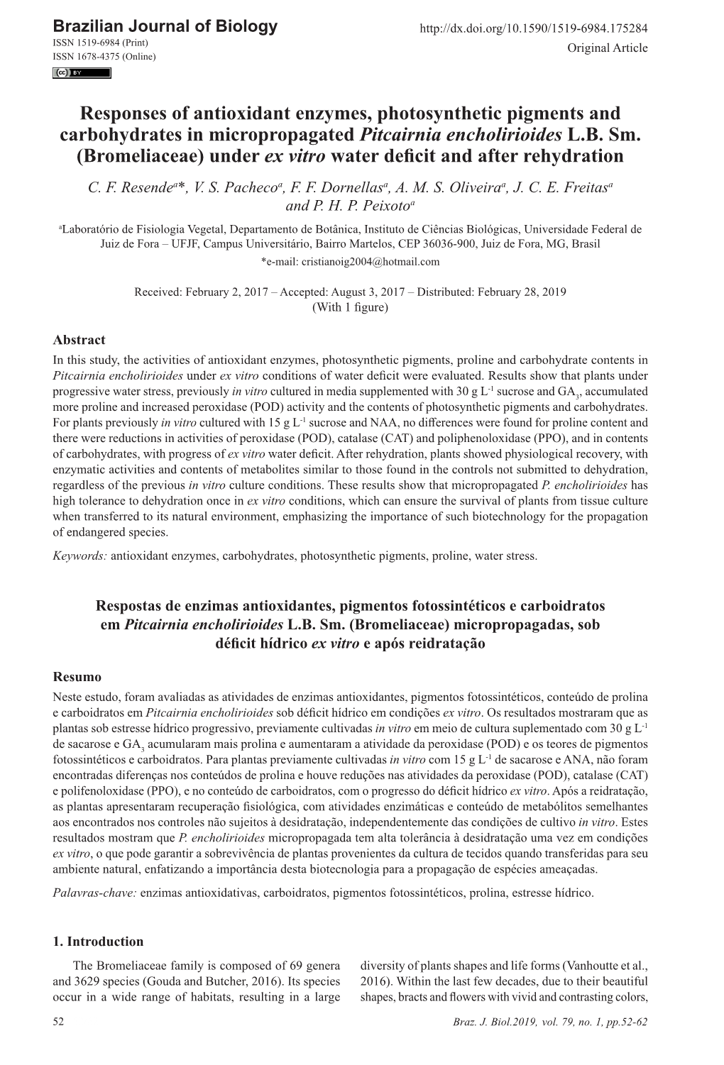 Responses of Antioxidant Enzymes, Photosynthetic Pigments and Carbohydrates in Micropropagated Pitcairnia Encholirioides L.B