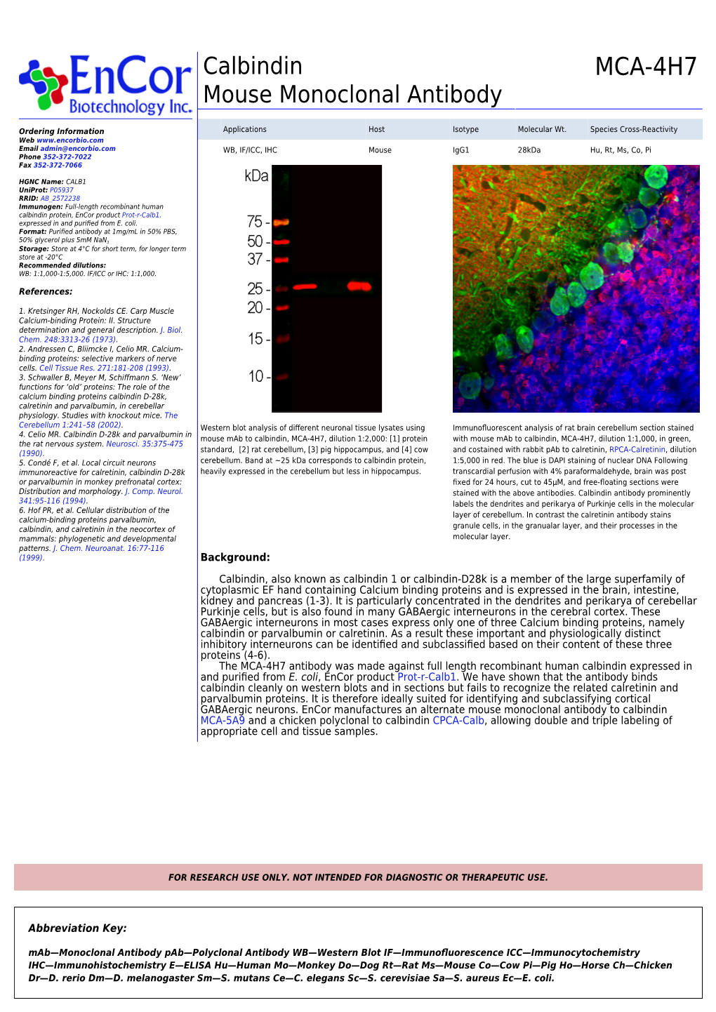 MCA-4H7 Mouse Monoclonal Antibody