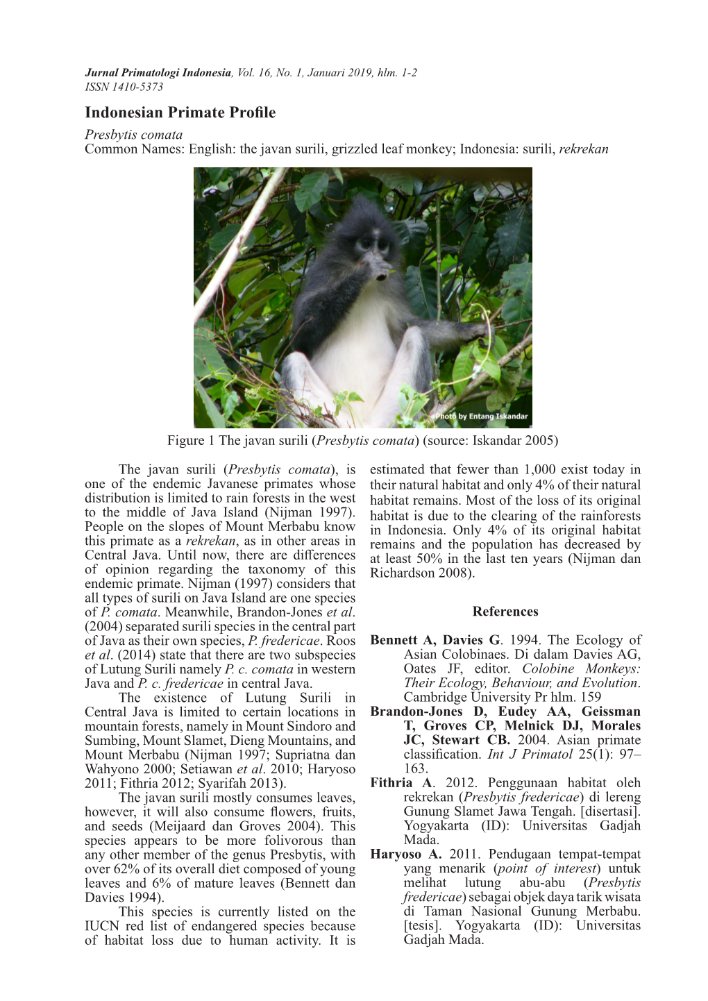 Indonesian Primate Profile Presbytis Comata Common Names: English: the Javan Surili, Grizzled Leaf Monkey; Indonesia: Surili, Rekrekan
