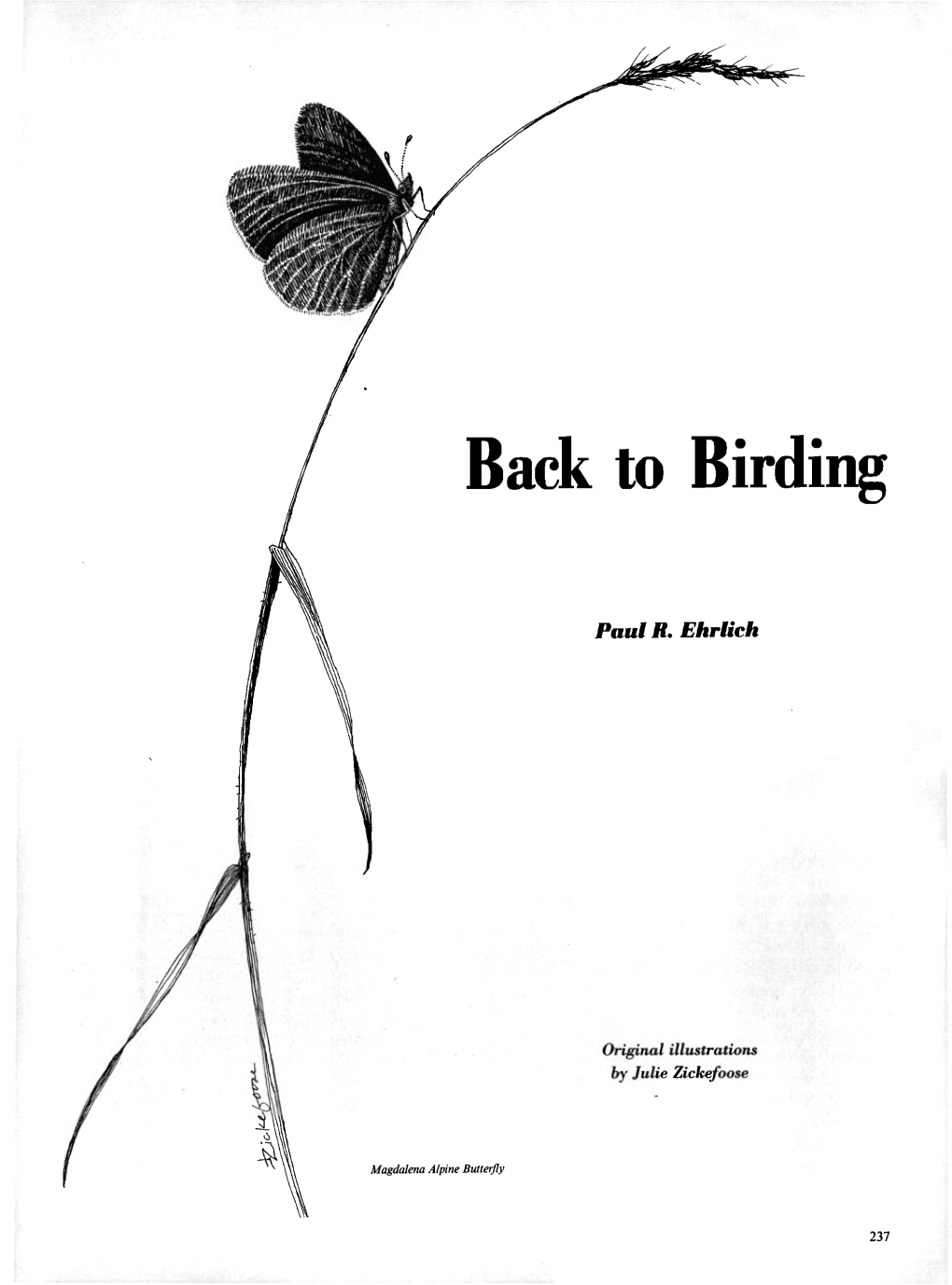 Back to Birding