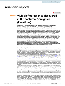 Vivid Biofluorescence Discovered in the Nocturnal Springhare (Pedetidae)