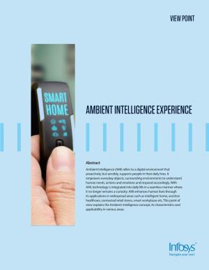 Ambient Intelligence Experience Point of View