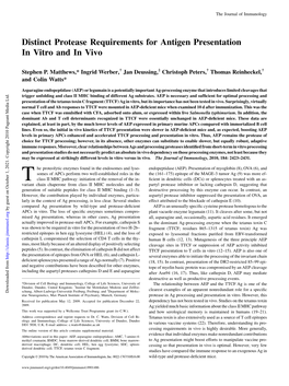 Distinct Protease Requirements for Antigen Presentation in Vitro and in Vivo